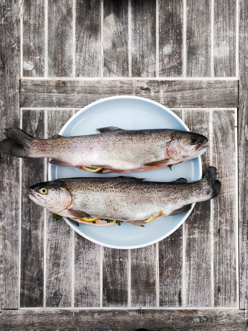 What is Harðfiskur? The Complete Guide to Iceland's Original Protein Snack